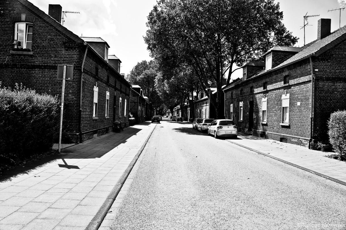 Siedlung Dunkelschlag_20