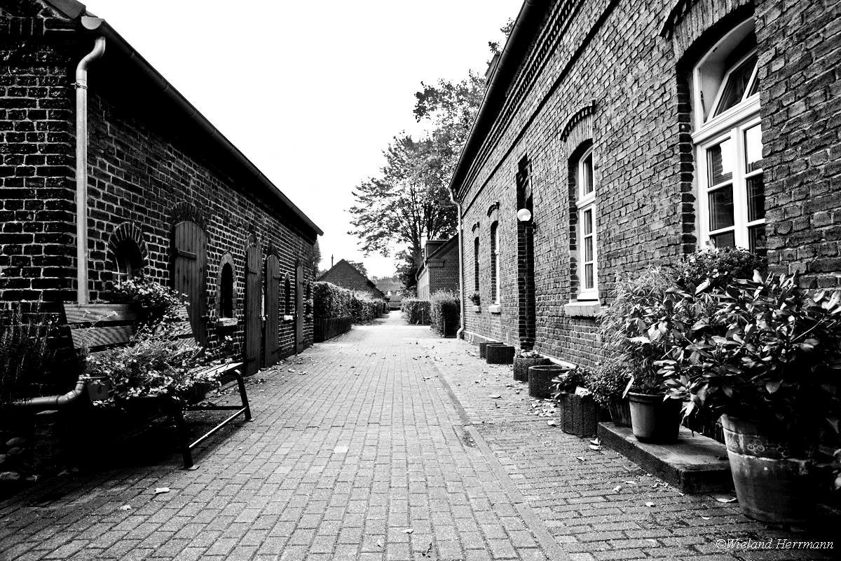 Siedlung Eisenheim_12