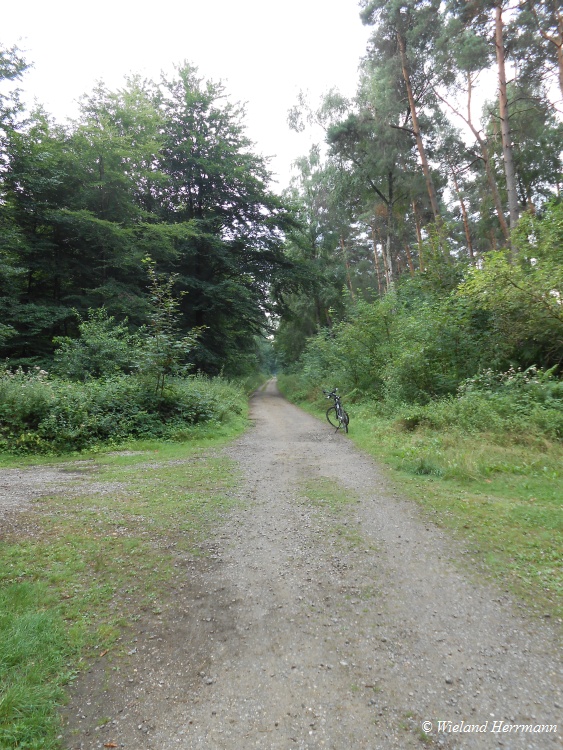 Die Leucht_3