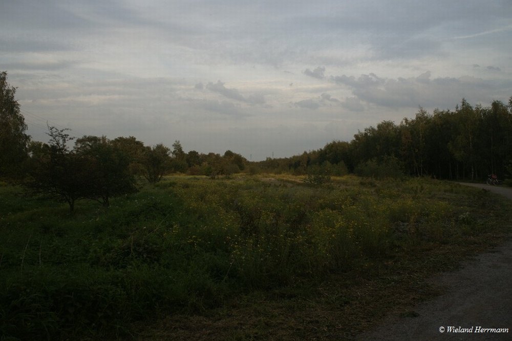 Gleispark_2