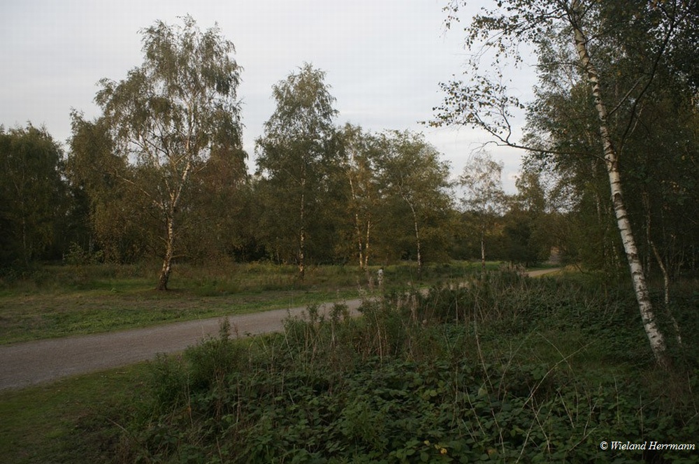 Gleispark_3