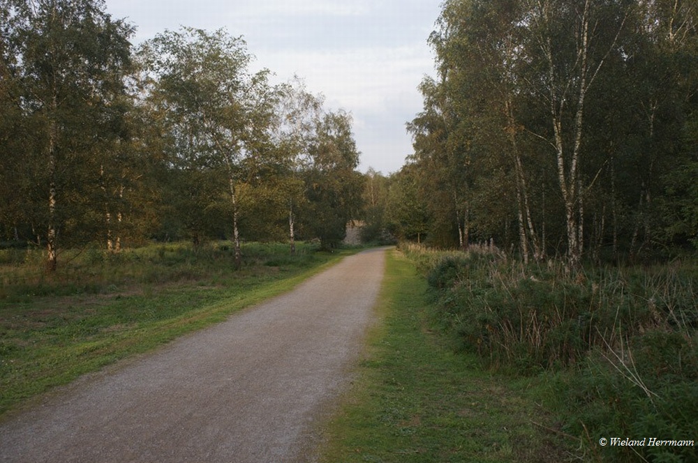 Gleispark_4