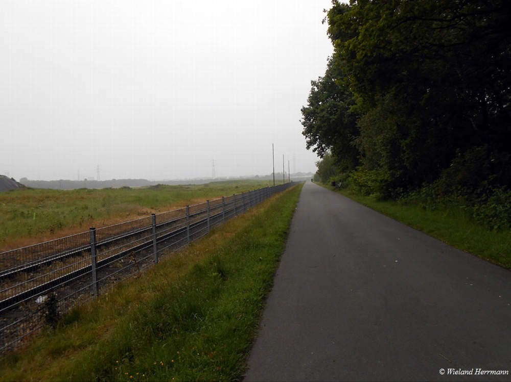HOAG_06
