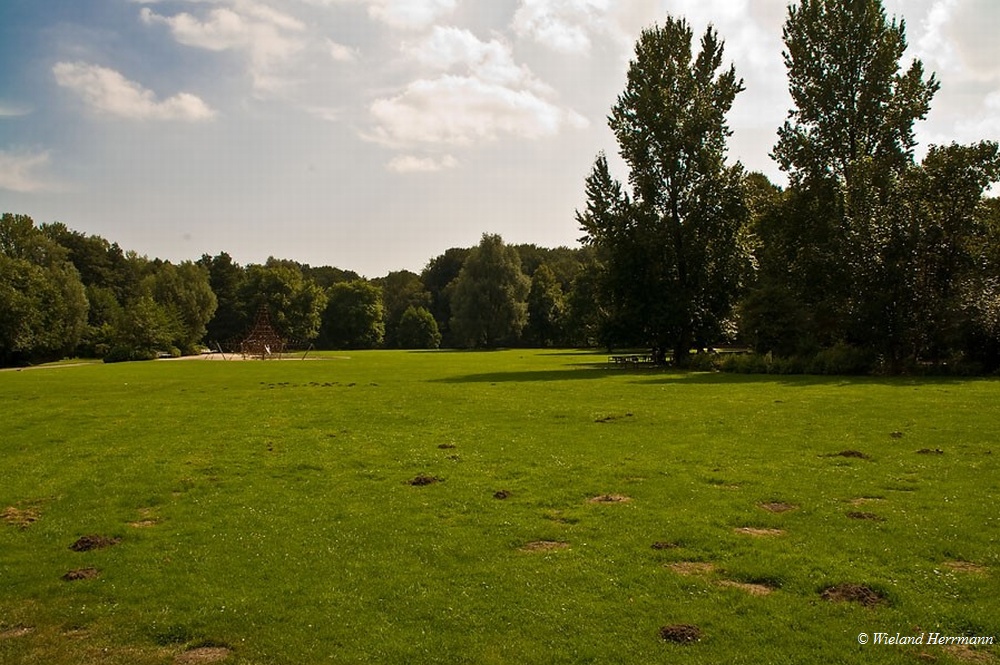 Park_06